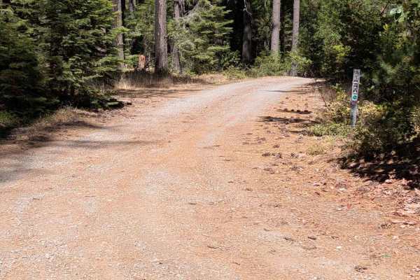 Hall City Creek Road - FS 29N07