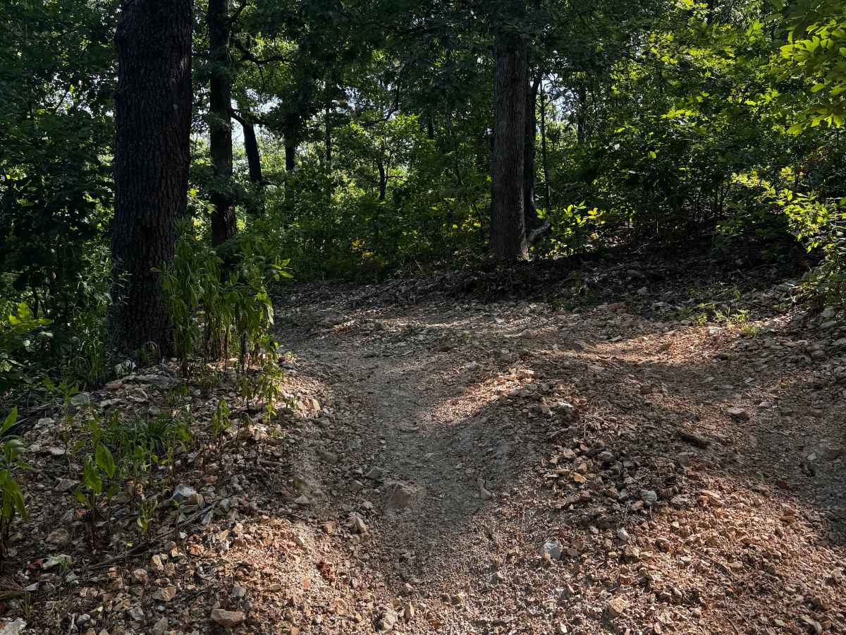 4x4 Course trail photo