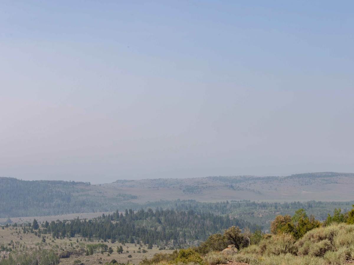 South Mytoge photo 3