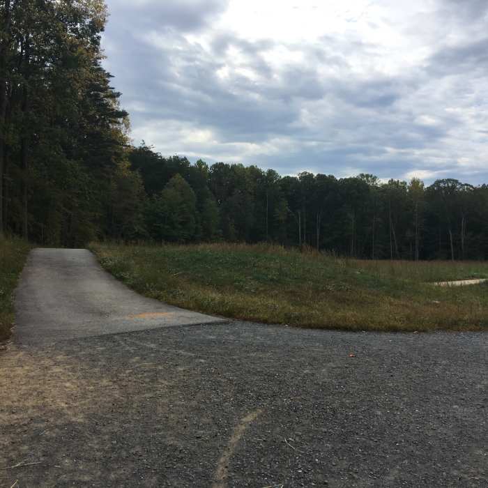 Near Burke Lake Trail
