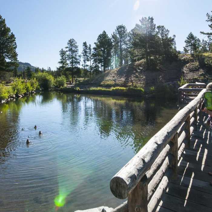 Near Sprague Lake Loop Hike