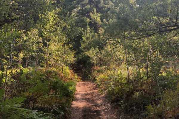 East Missaukee Trail Loop