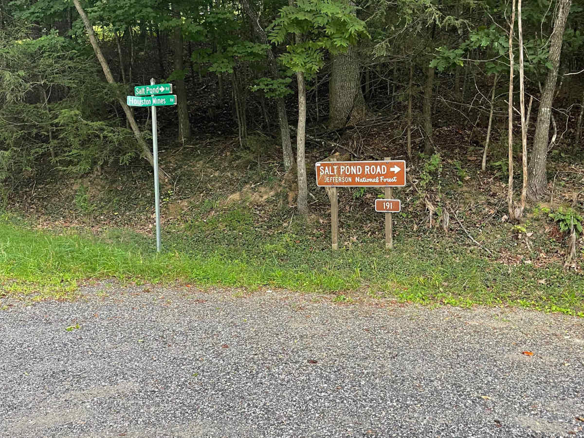 Salt Pond Road trail photo