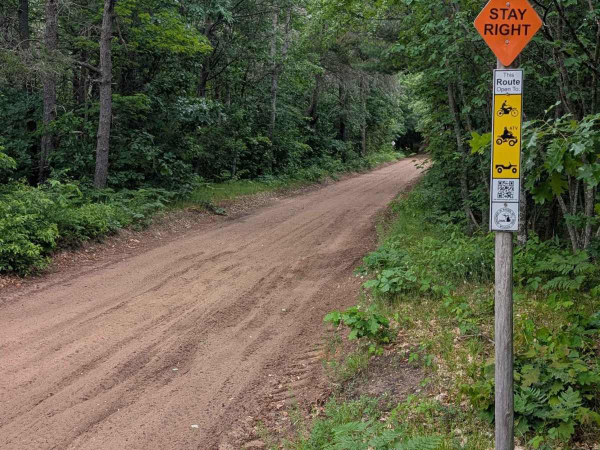 West Higgins Route Section 2 photo 4