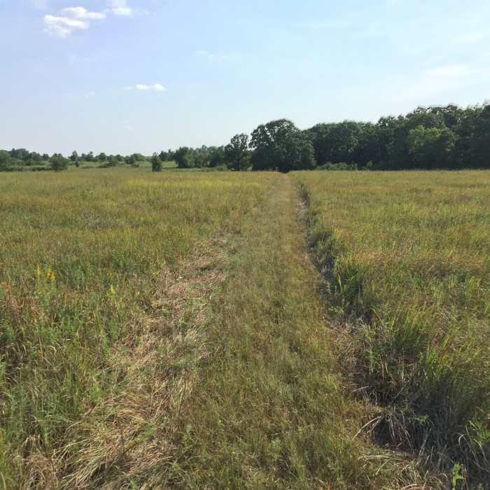 Near Chautauqua Hills: Red Loop