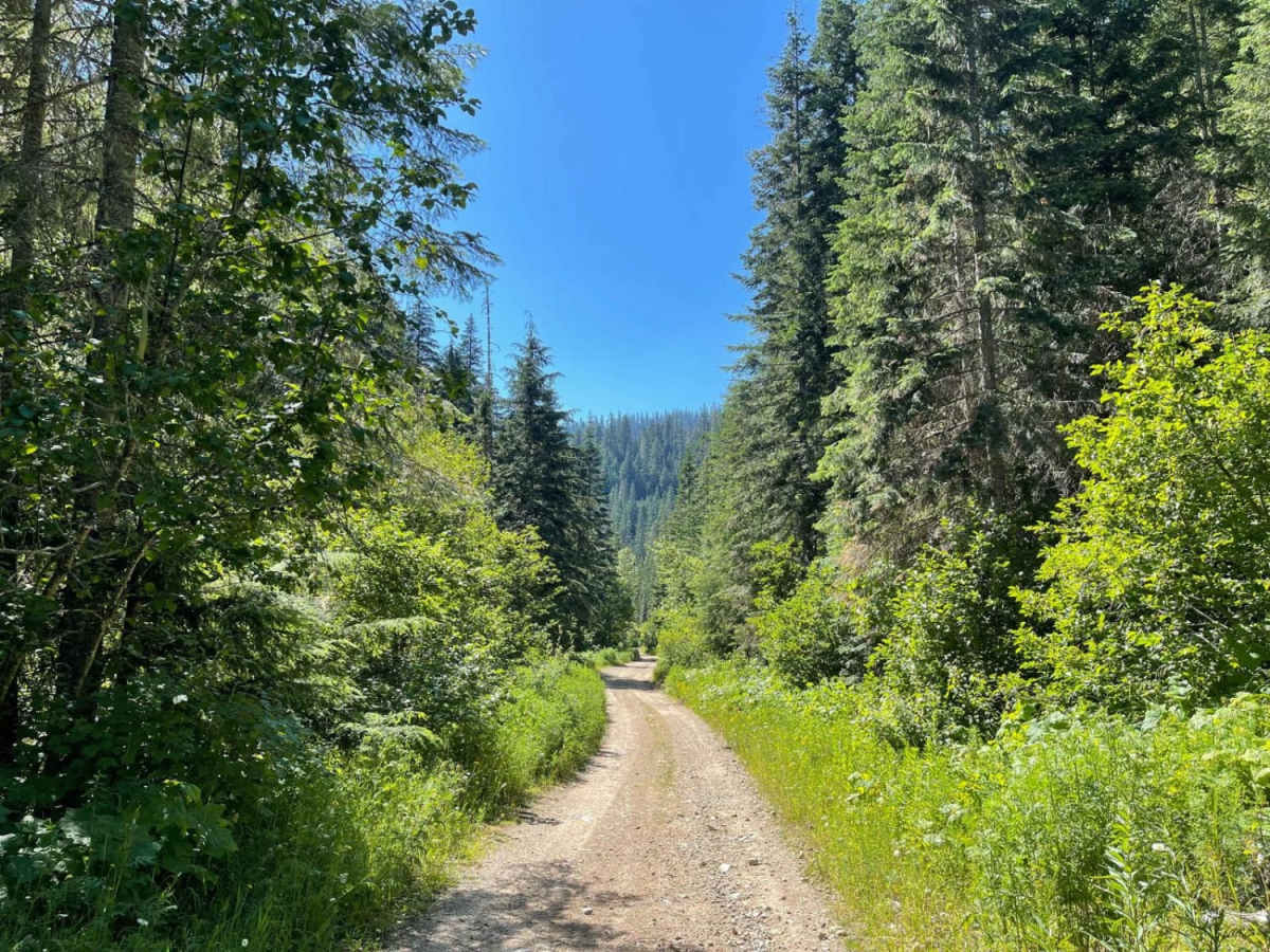 Cascade Picnic trail photo