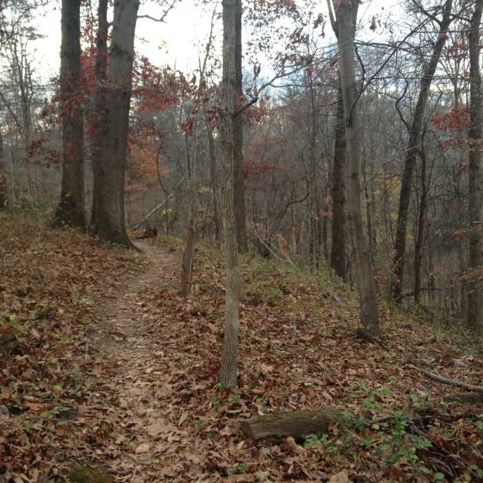 Heading up to the trail's end on Glendale Road. Near Glendale Trail