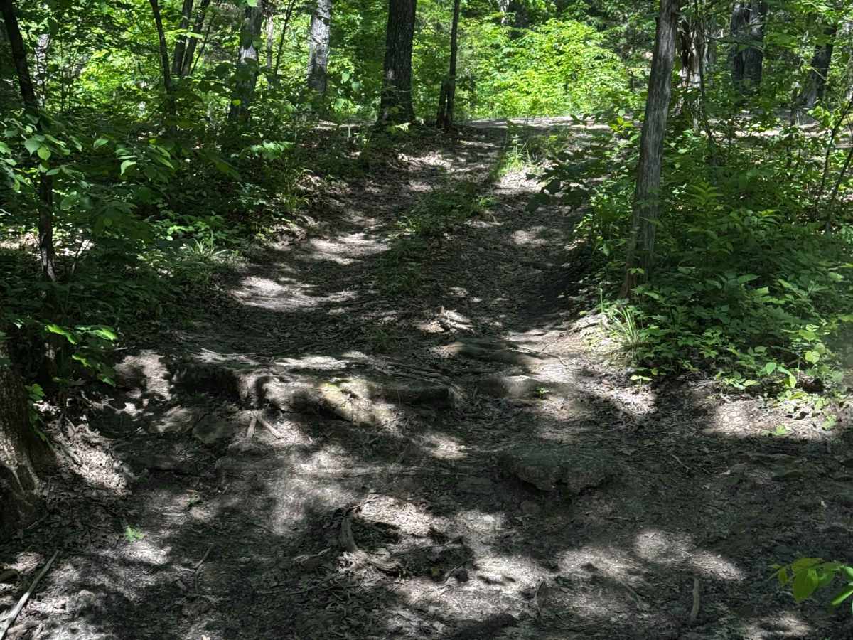 Snot Licker trail photo