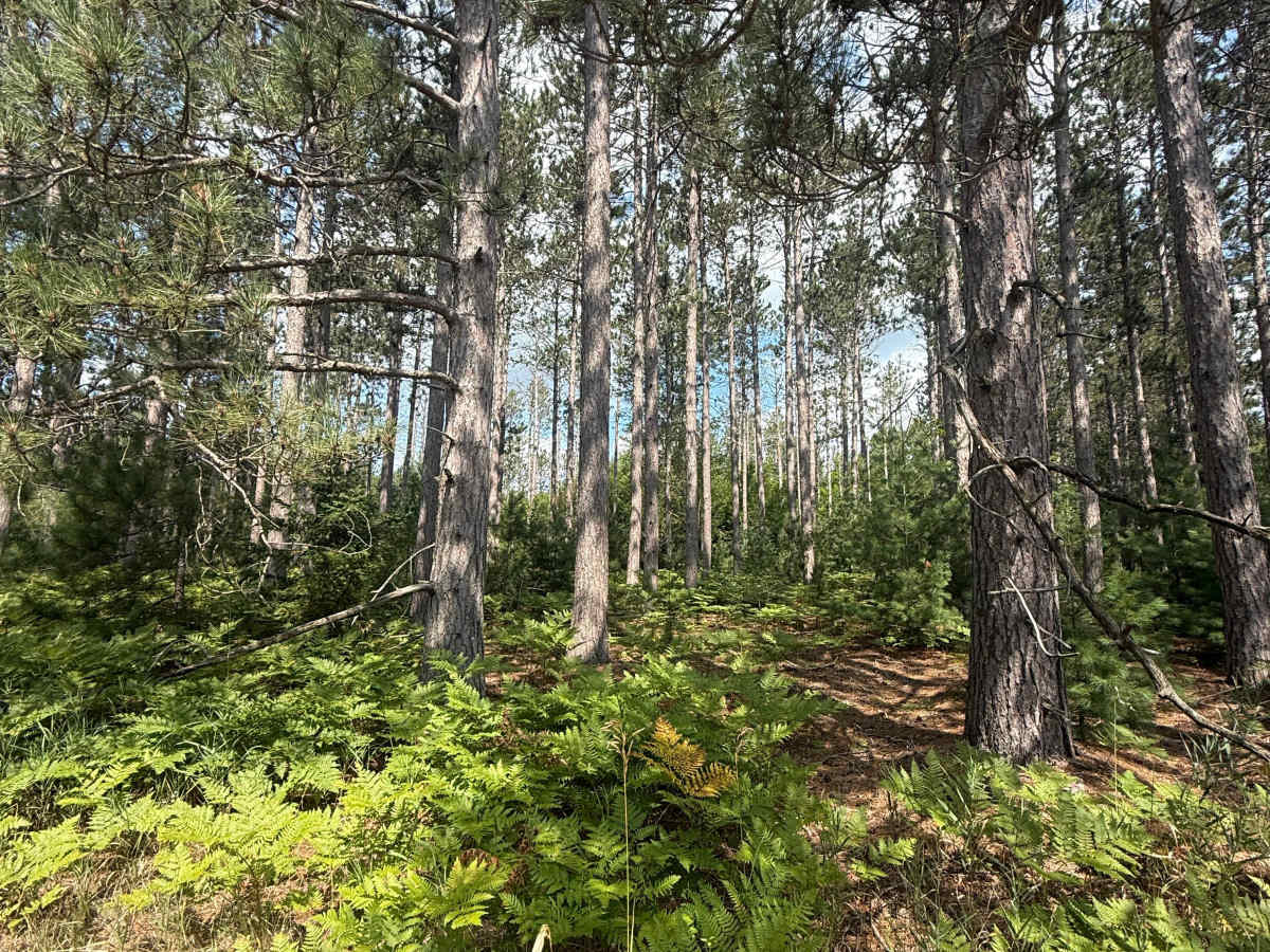 3rd Creek Trail photo 5
