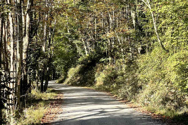 Lee Gualtney Road