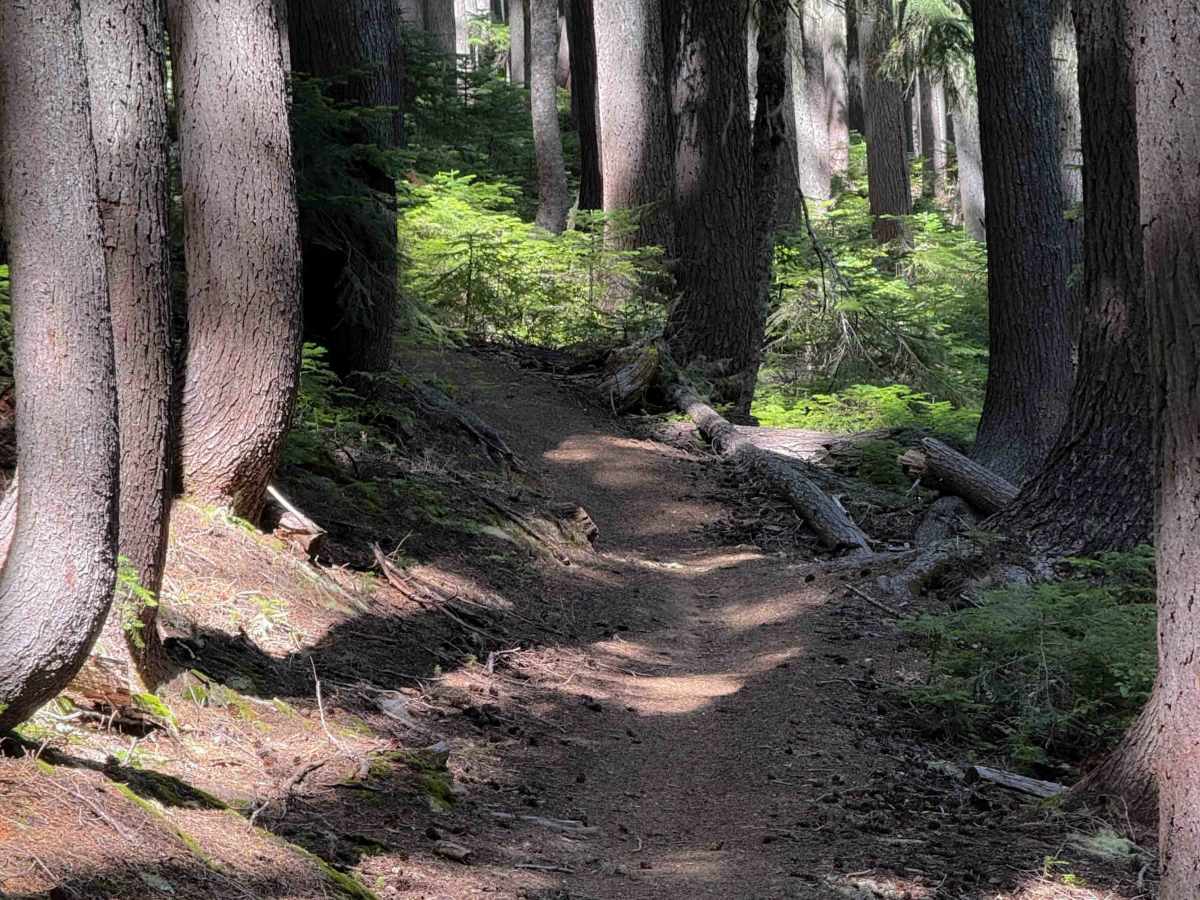 Indigo Lake Trail  photo 3