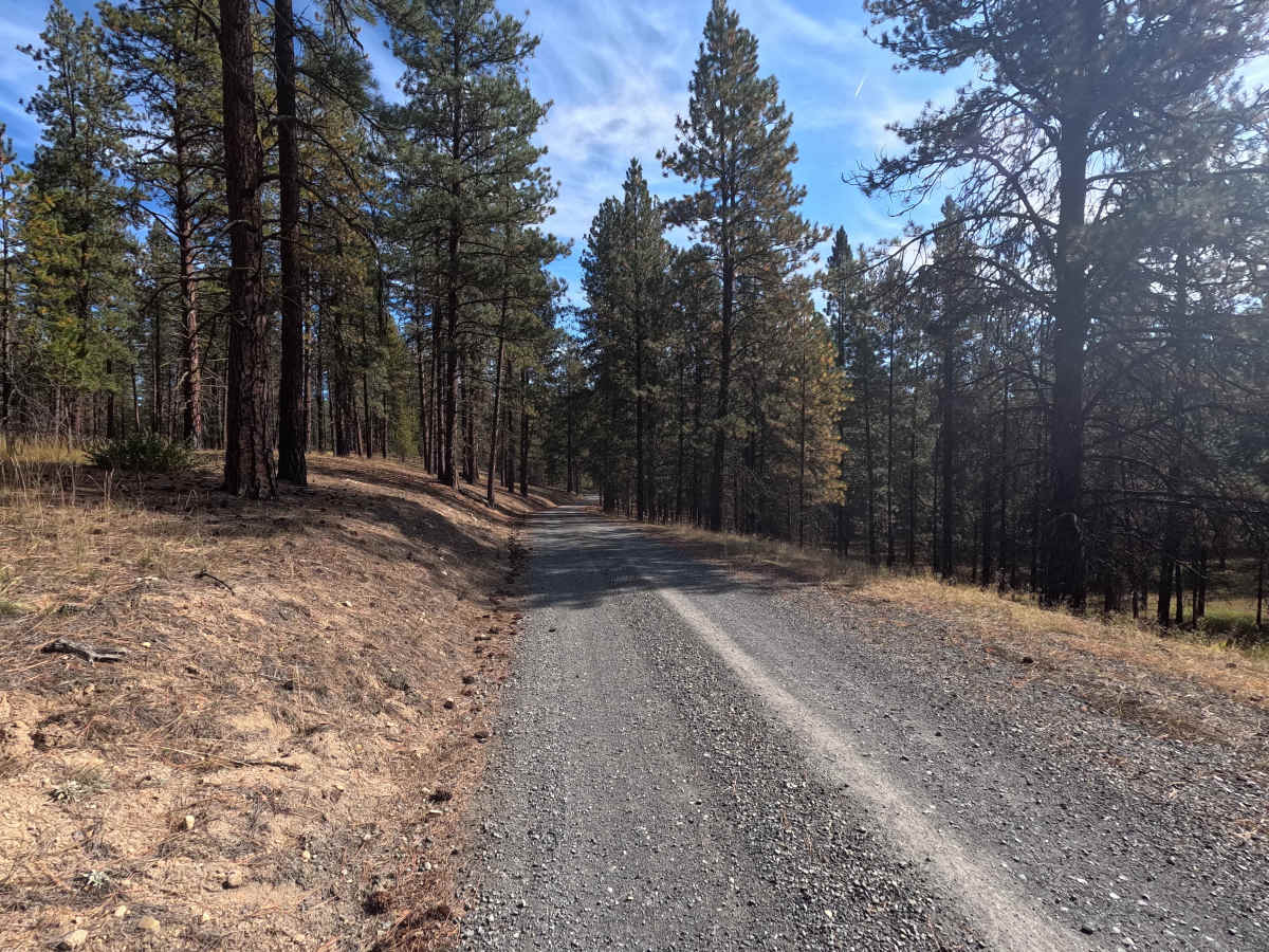 Starvation Flat Road photo 3