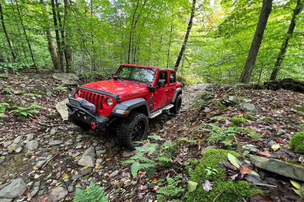 Minkler Mountain Road T668