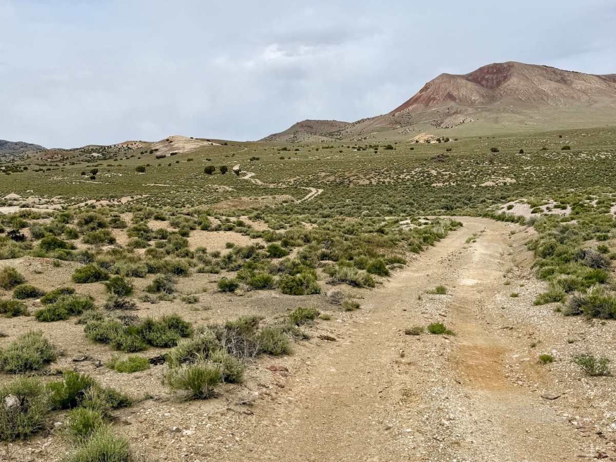 Parrotte Springs / Hannapah Road - FS 44505 photo 6