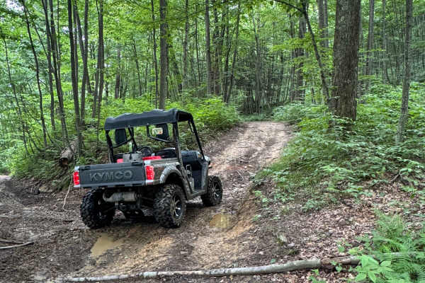 Trail 30
