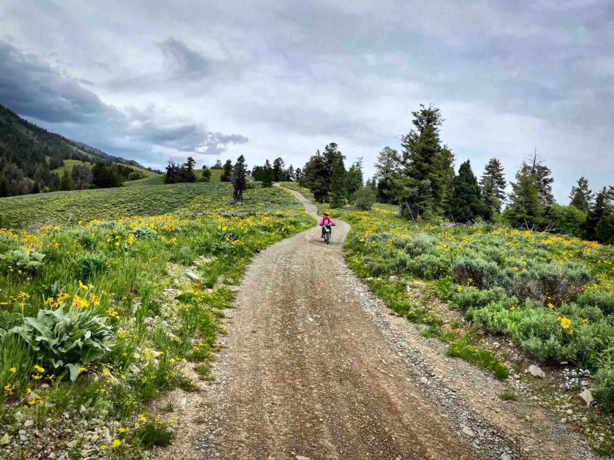 Pat Canyon -  286 trail photo