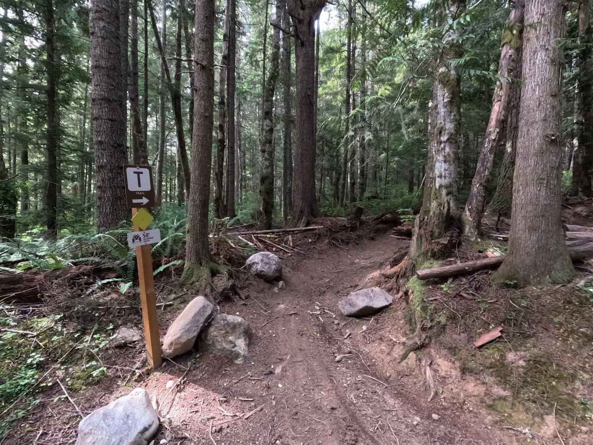 Mount Angeles Connector trail photo