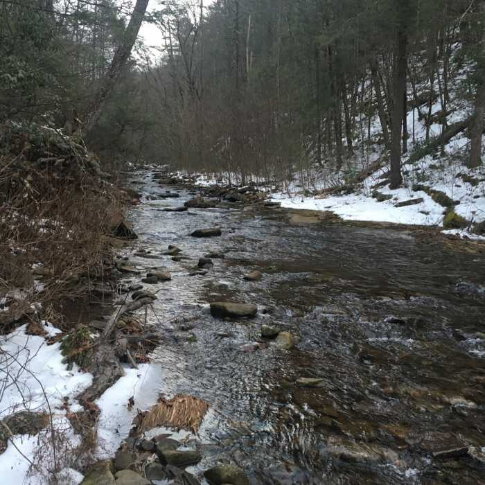 Near Ramsey's Draft Loop