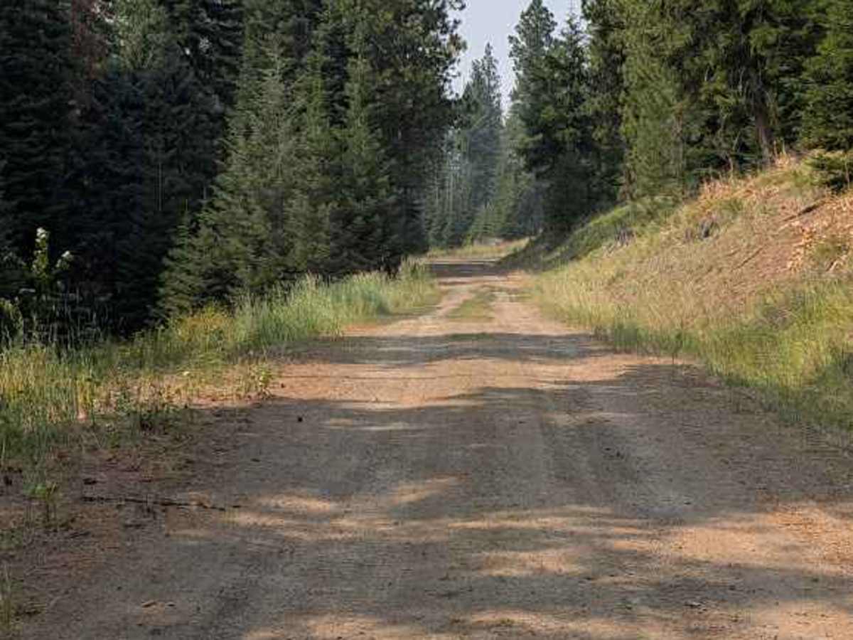 Pearson Creek Road photo 2