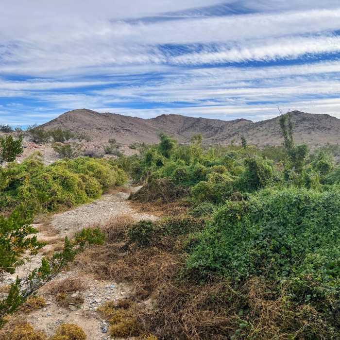 Near Black Eagle Mine Road