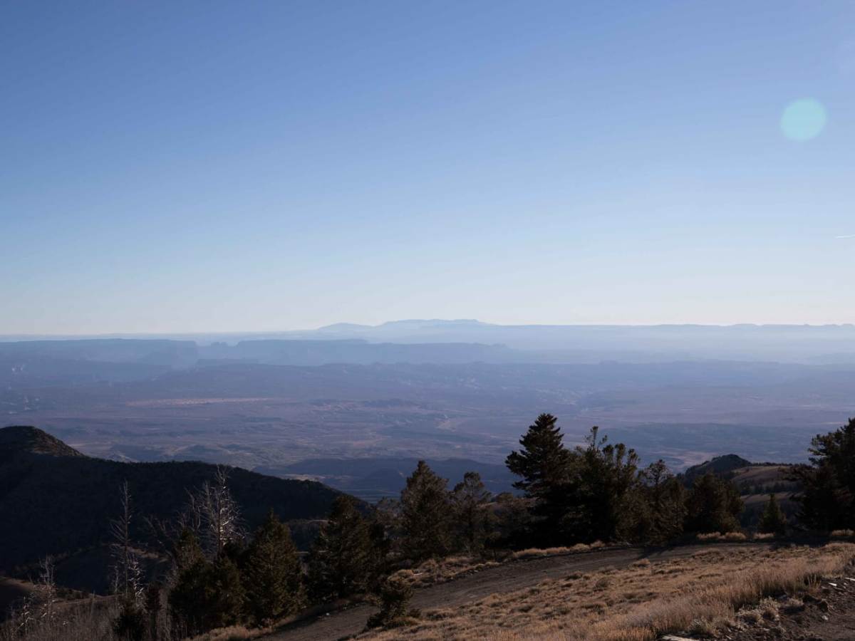 Bull Creek Pass Road photo 2