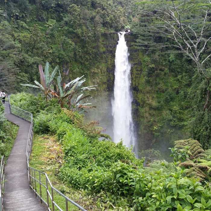 Near Akaka Falls Trail
