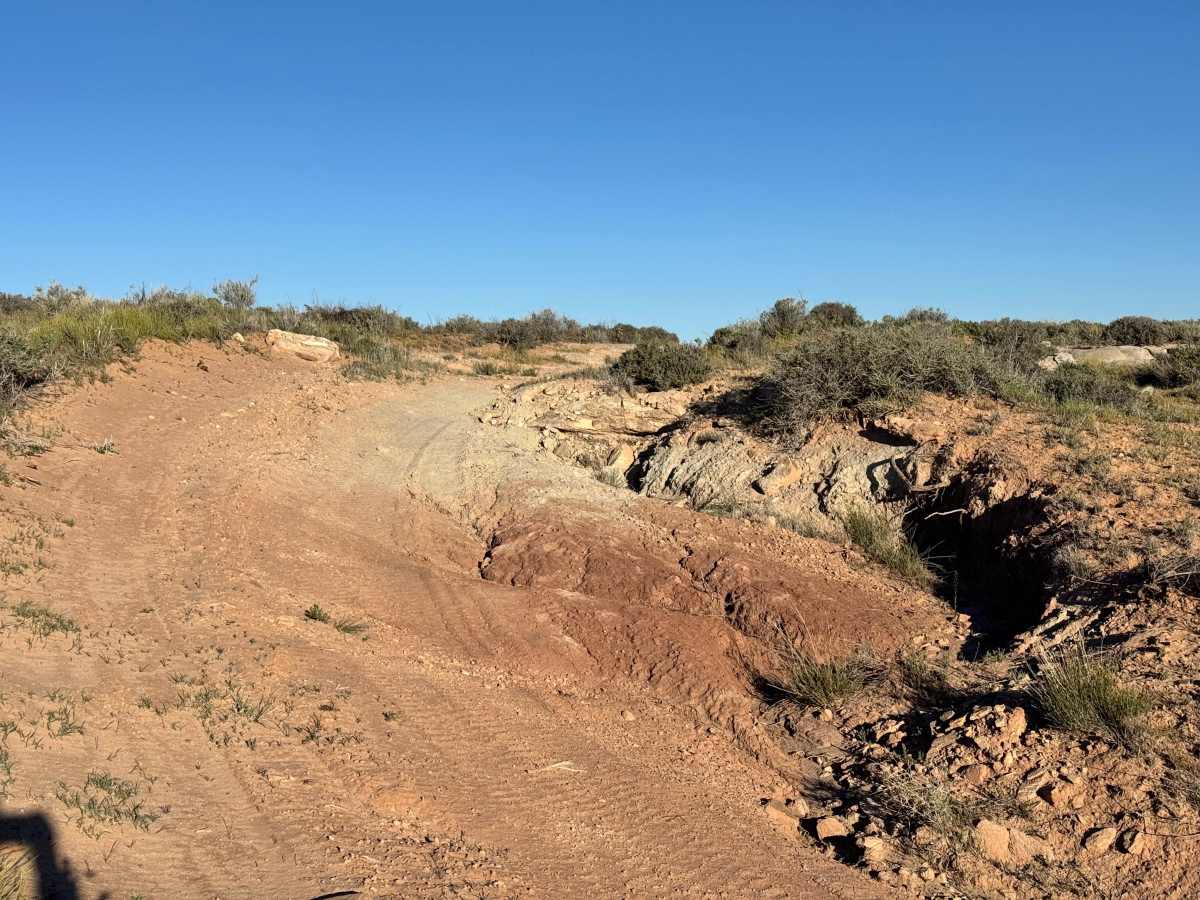 Memphis Hill photo 5