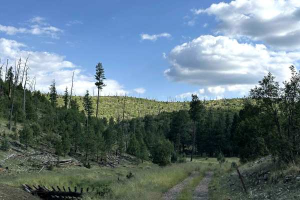 Pendleton Can