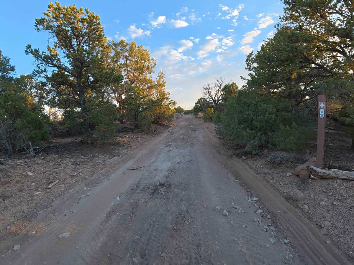 West Transfer Road trail photo
