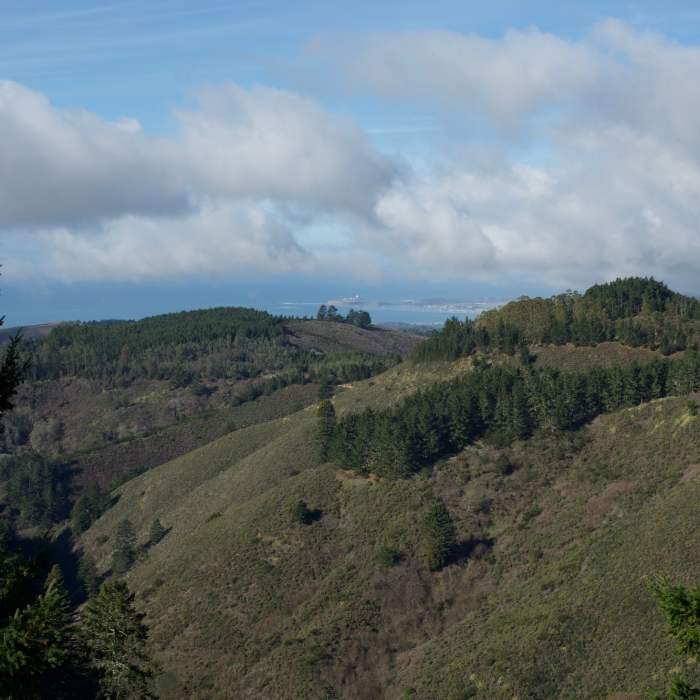 From the North Ridge Trail, you get a good view of Half Moon Bay and the Pillar Point Air Force Station. Near Whittemore Gulch Trail