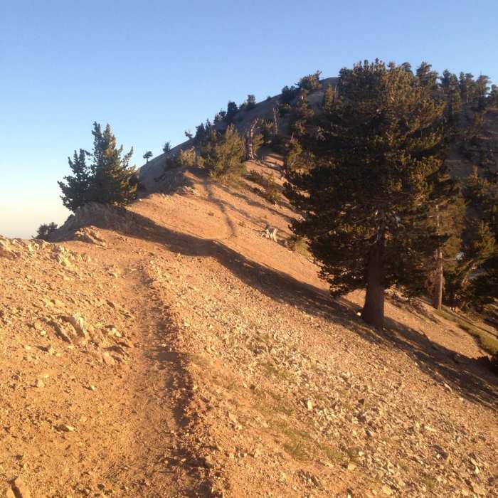 Near Vincent Gap to Little Jimmy Campground