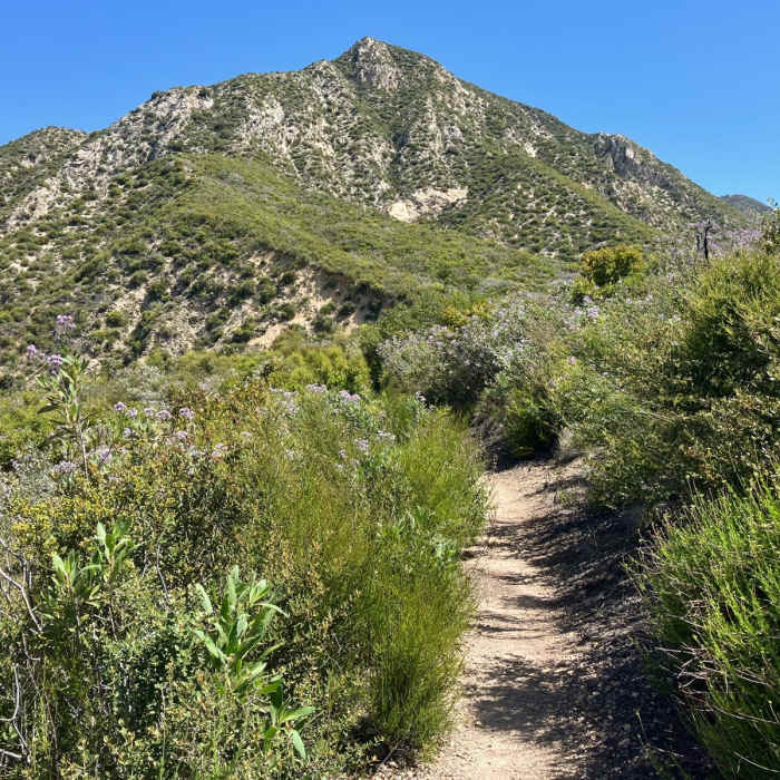 Near Lukens and Condor Loop