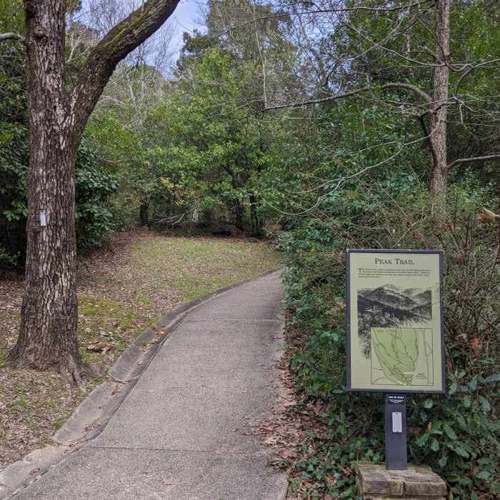Near Oak Trail