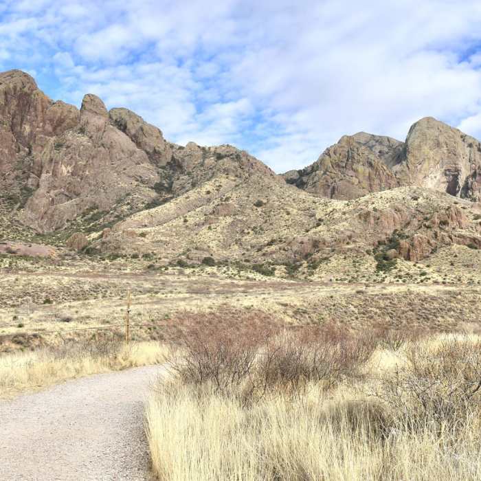 Near Dripping Springs Trail Near Dripping Springs Trail