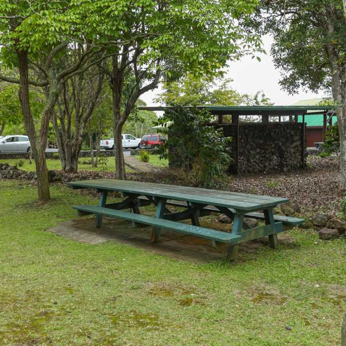 Near Manuka Nature Trail Near Manuka Nature Trail