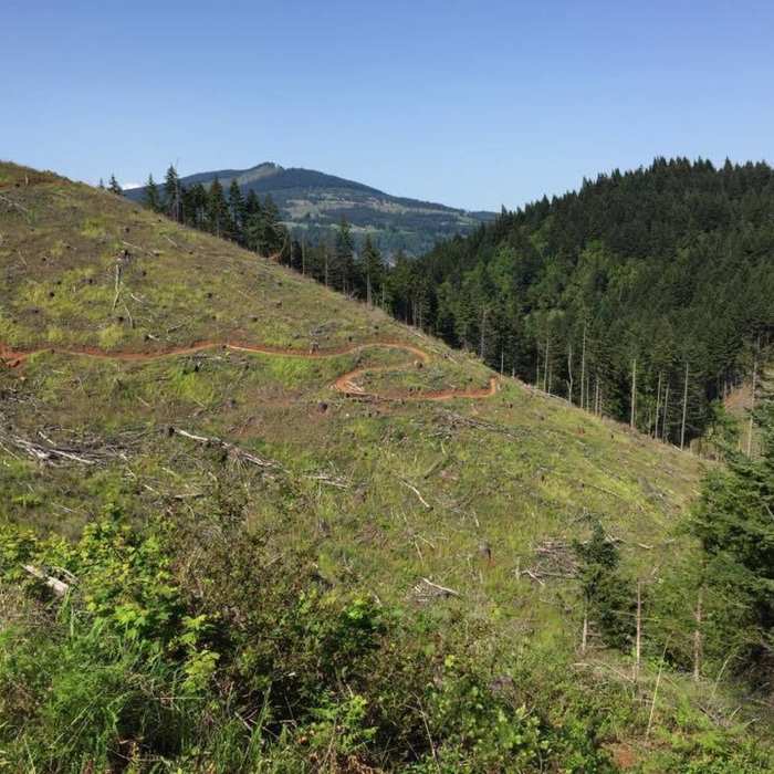 Near Hybrid Trail #140