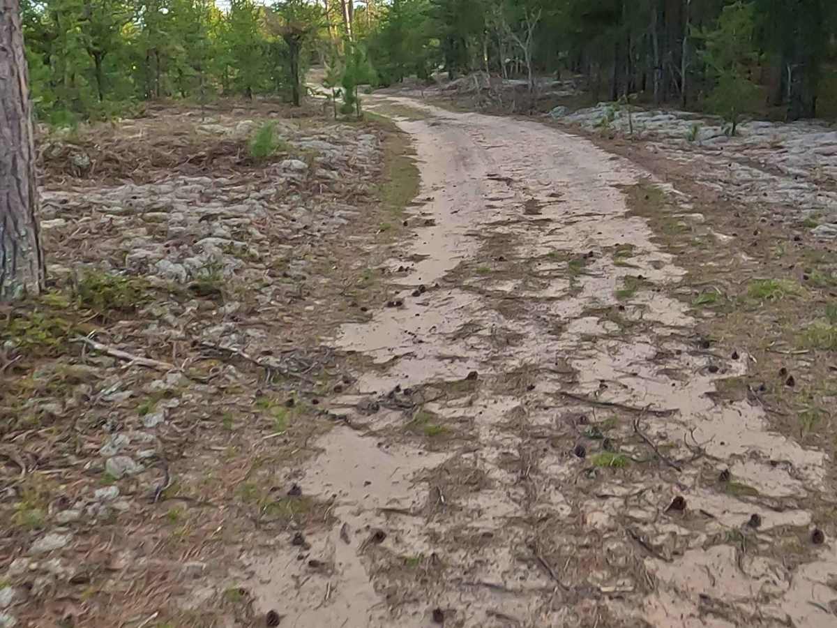 N Sheldrake River Road photo 5