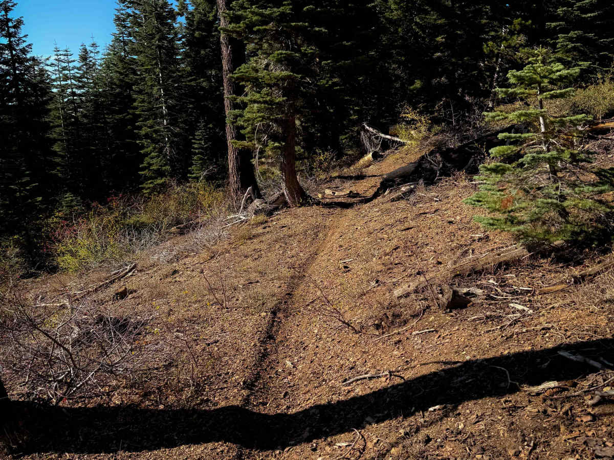 Pack Saddle Drop  photo 4