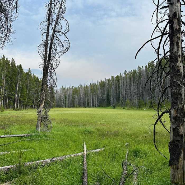 Near Continental Divide Trail: Montana-Idaho Section 19