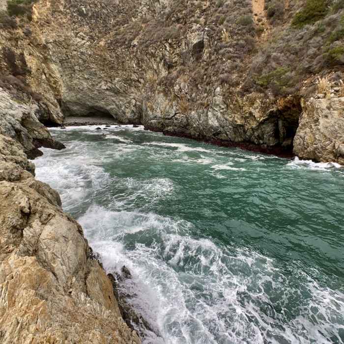 Near Partington Cove Trail