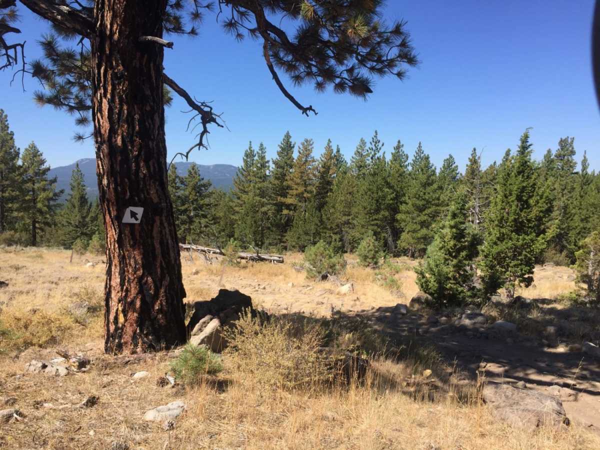 Bear Valley Loop Trail photo 2