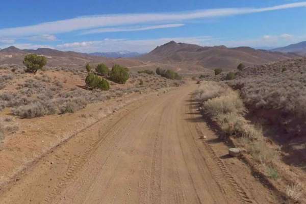 VCA Mine Road