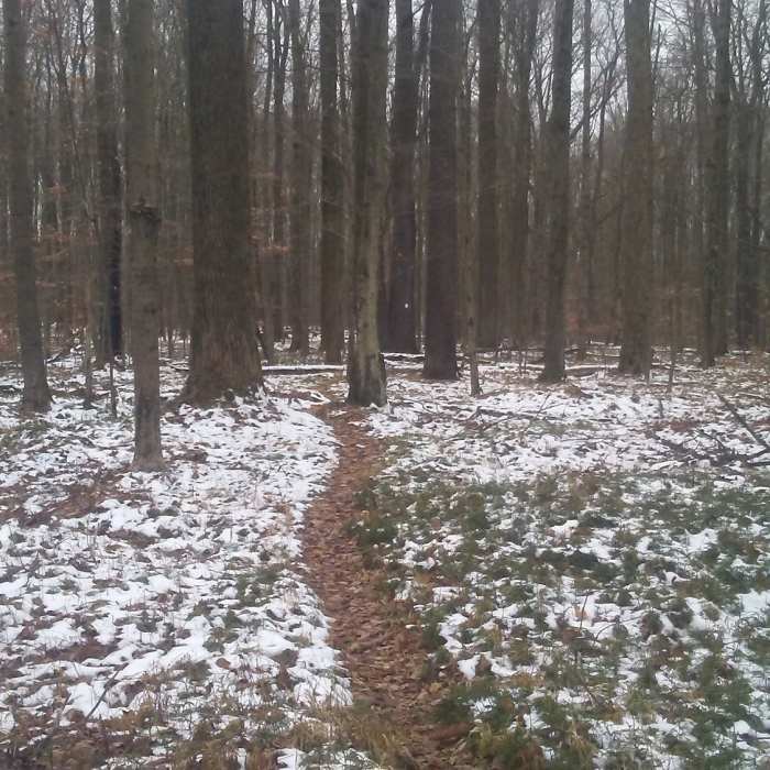 Near Twin Lakes Trail