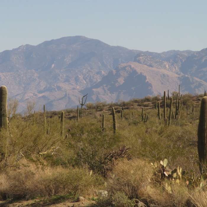 Near Valley View Overlook Trail