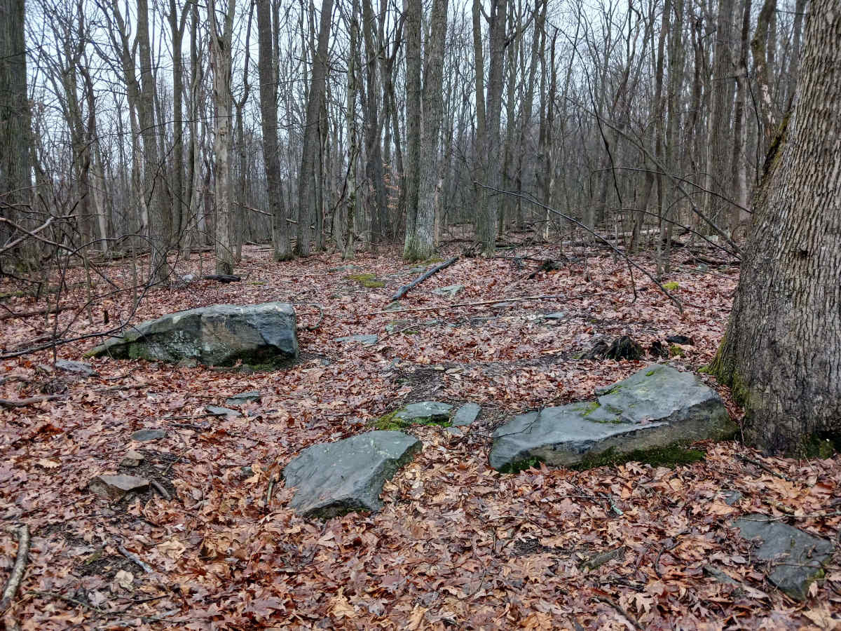 OHV 46 - Rock Run Recreation Area trail photo