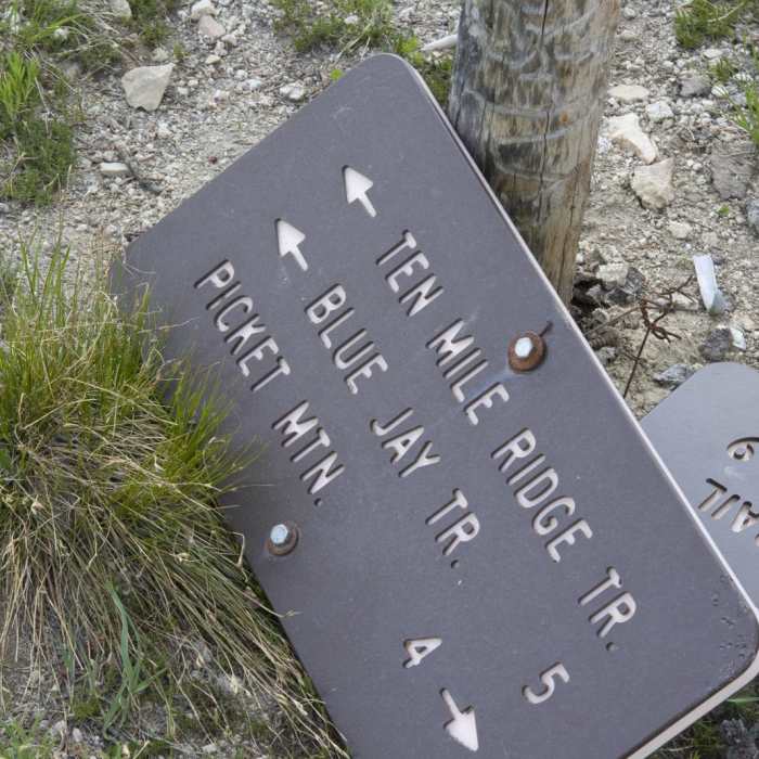 Near Waipiti Ridge Trail