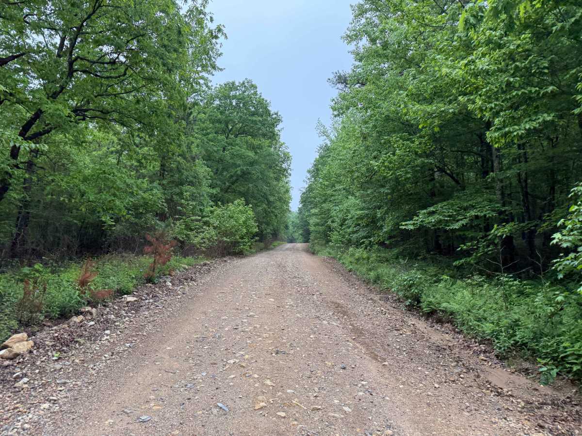 Polk County Road 601 photo 4