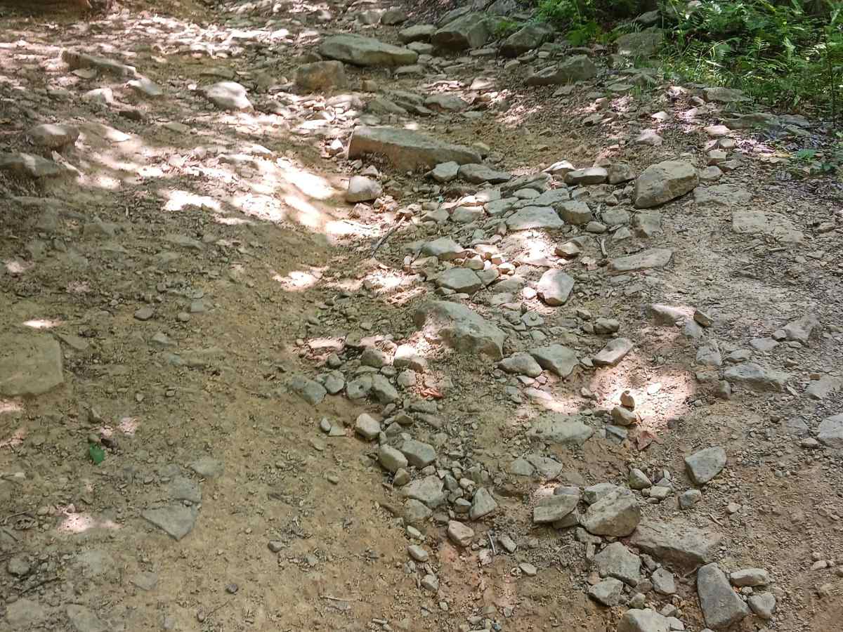 Cherry Run - Rock Run Recreation Area photo 4