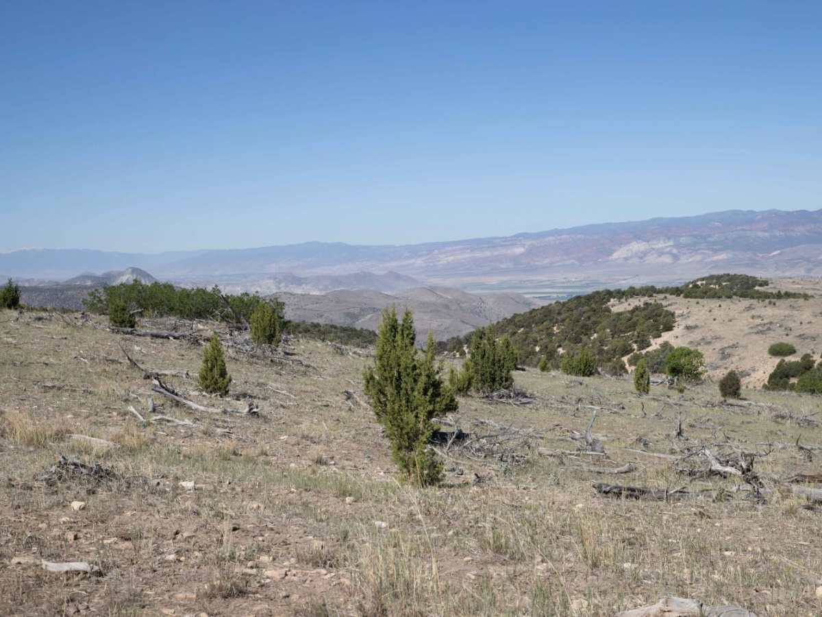 Cedar Mountain East Ridge photo 5