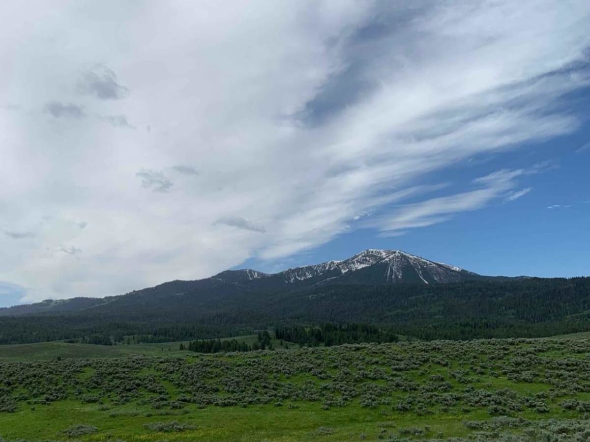 Dans Creek to Caribou Basin trail photo